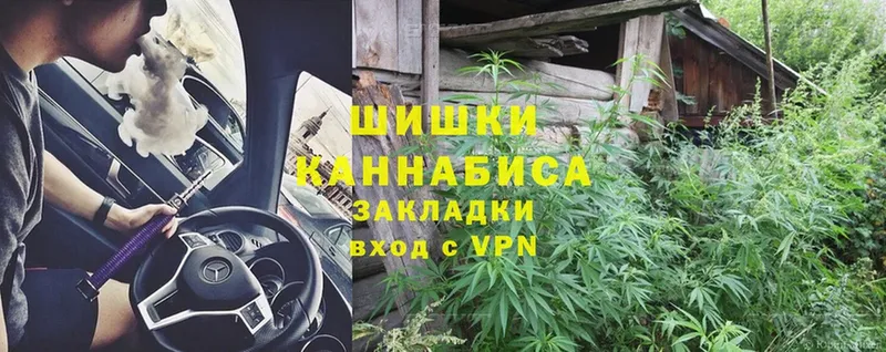 Каннабис SATIVA & INDICA  Городец 